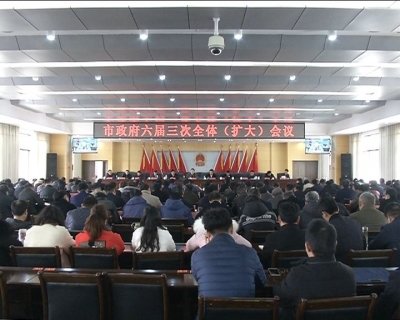 市政府六届三次全体（扩大）会议召开