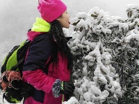 大冶人朋友圈里的最美雪景