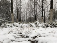 你晒照，我送礼！美景、趣事、暖冬——雪之韵首批靓照发布