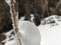 大冶人朋友圈里的最美雪景