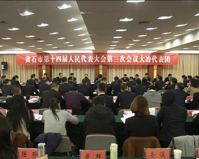 黄石市委书记马旭明参加大冶代表团审议