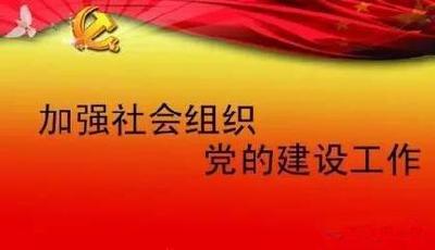 我市社会组织党建工作步步为营