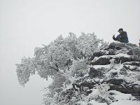 大冶人朋友圈里的最美雪景