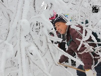 大冶人朋友圈里的最美雪景