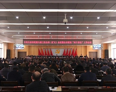 市纪委六届三次全体（扩大）会议暨全市落实“两个责任”工作会议召开