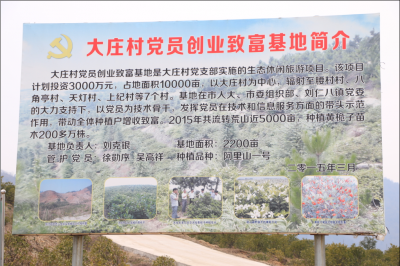 网络媒体走转改丨走进大庄村 看集体产业如何助力扶贫