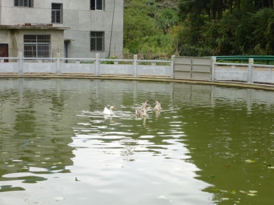 立春到 春尚早 晴好天气迎新年