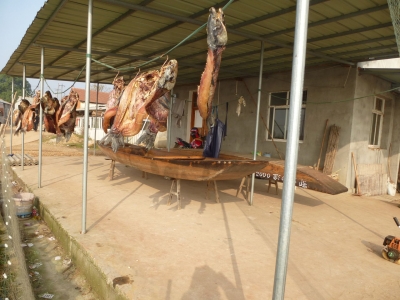 老家年味如今不一样