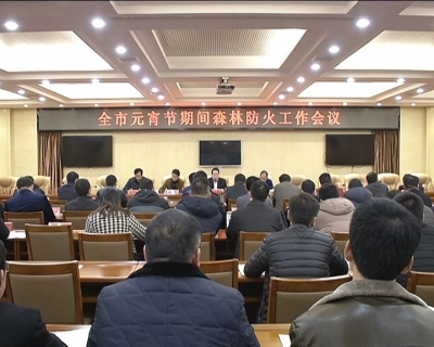 全市元宵节期间森林防火工作会议召开