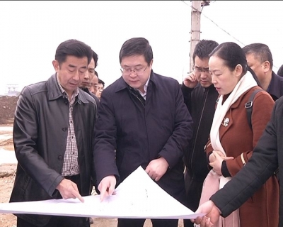 王刚强调：确保金湖生态园项目早日完工