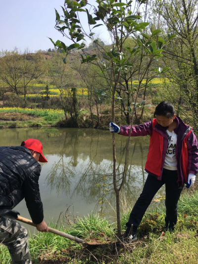 植树造林忙