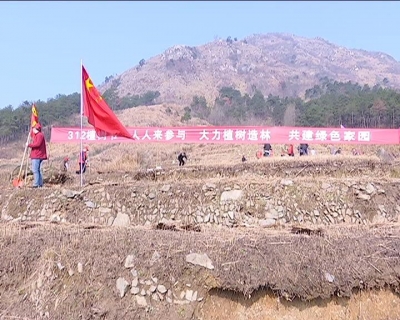 全市各地开展义务植树活动