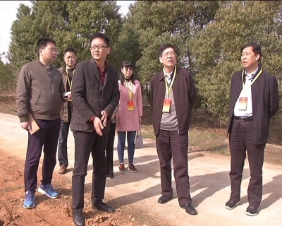 罗光辉率检查组来冶开展《中华人民共和国水土保持法》执法检查
