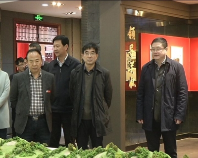 省商务厅副厅长胡中海来冶调研商务和招商工作