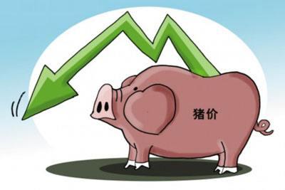 国内猪价春节后快速下跌 部分地区已跌破7元大关