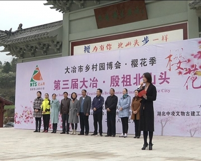 第三届樱花节开幕 首日游客破万