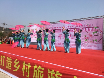 2018年黄石•大冶乡村园博会保安第五届桃花季开幕 发展“花”经济 助推乡村振兴