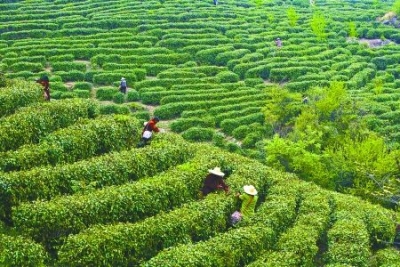 让农民钱包鼓起来，精神上富起来