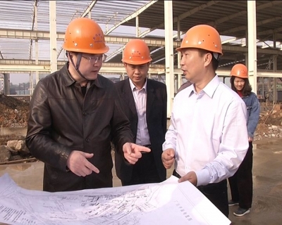 王刚到新冶特钢开展“进企业、增信心、解难题”活动