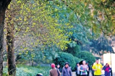 全国大回暖周末气温大面积破20℃ 华北或入春