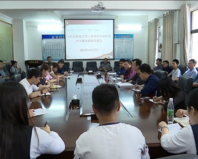 中介服务网上办 项目建设快落地