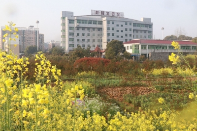环境整治提升乡村“颜值”