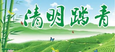 清明假期实现旅游收入1亿元