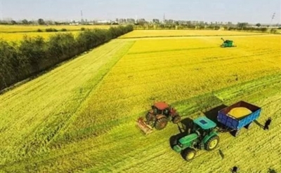 我国农村集体资产明年底前将全部摸清“家底”