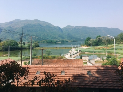 贺铺村：农民富起来  村庄美起来