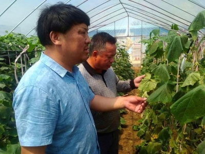 我市着力提升全市农产品质量安全水平