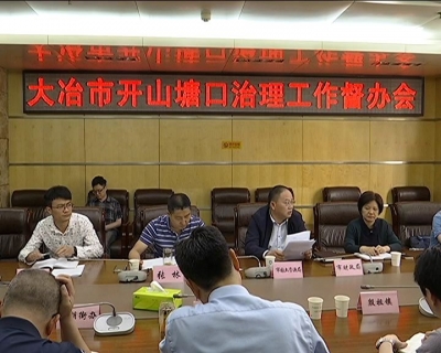 我市召开开山塘口治理工作督办会