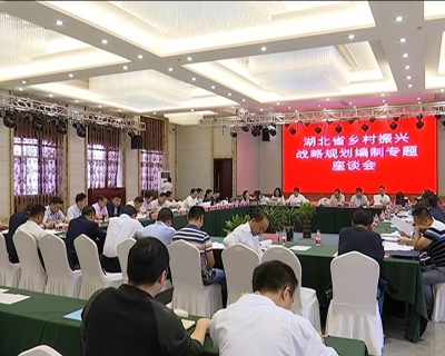 全省乡村振兴战略规划编制专题座谈会在冶召开