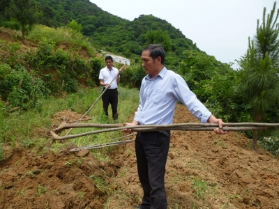 276株树苗惨遭“毒手” 村民很痛心 该事件已经立案，案件正在进一步侦办当中