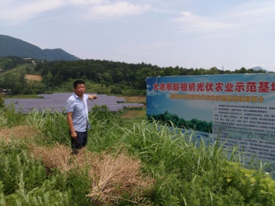 石志宇：带动村民脱贫致富“领路人”