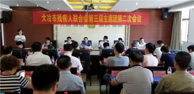 市残联召开第三届主席团第二次全体会议