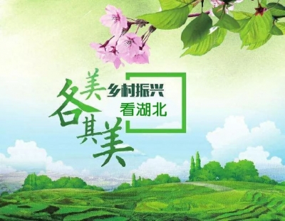 十九大精神宣讲：乡村振兴，因地制宜各美其美