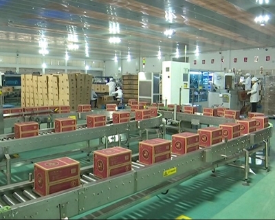 劲牌公司荣登2018年中国品牌价值榜轻工领域前50强