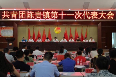共青团陈贵镇第十一次代表大会顺利召开