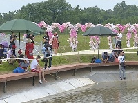 2018年大冶市乡村园博会•金牛龙虾垂钓节•蓝莓采摘节活动举行