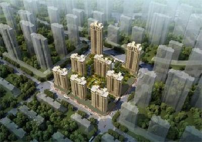 长江中下游调研队 进入社区开展调研