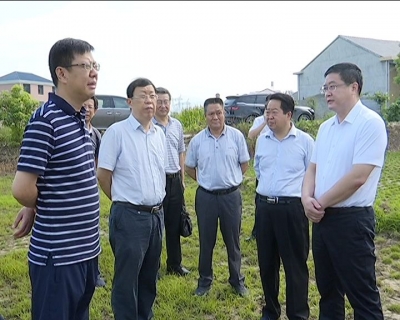 黄石市委副书记、政法委书记杨军来冶检查抗旱工作