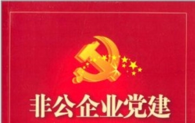 高新区 非公党建提振企业文化