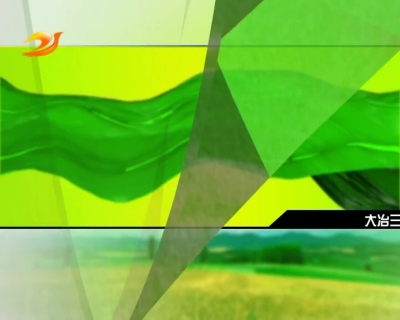 大冶三农216期 有标胖胖001va0.mpg