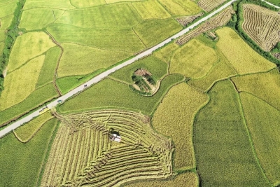 北大、中山大学等纷纷设立这个学院 就业前景乐观