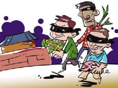 潜入工地盗窃不承认 见到民警后男子秒怂