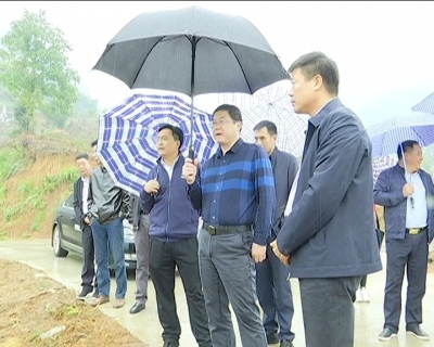 王刚检查全省国土绿化和生态修复现场会筹备情况