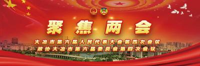 直播：大冶市第六届人民代表大会第四次会议