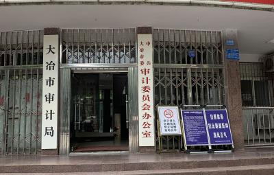 大冶市审计局领导简介