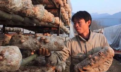 大冶这位小伙子入围第十一届“全国农村青年致富带头人”，你认识吗？ 