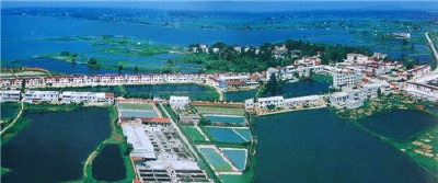 大冶市东风农场管理区领导简介